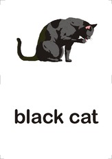black cat.pdf
